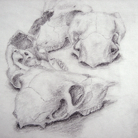 Renate Bosetti